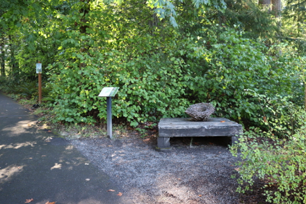 Tactile art and seat near main parking lot – trail map – signage about “stowaway seeds”
